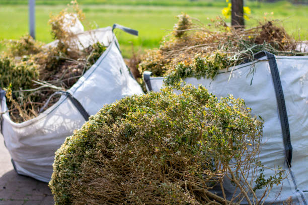 Best Junk Removal for Businesses  in Fair Grove, MO